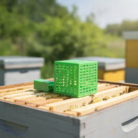 Queen Cage Ventilated Swarm Catcher Swarm Catcher Plastic Beekeeping Tools Rigid for Beekeepers