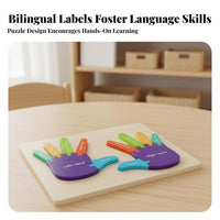 Finger Counting Board Early Development Finger and Toe Learning Puzzle Develops Fine Motor Skills Color and Number Puzzle for Classroom, Homeschooling