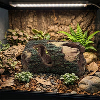 Multi-Chamber Reptile Hides and Snake Hide, Bark-Textured Resin Aquarium Caves and Hides for Turtles and Geckos, 5-Hole Waterproof Tree Trunk