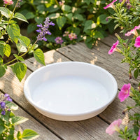Plant Saucers and Drip Tray for Outdoor Plants, Resin Plant Pot Stand, Single Pack, Various Colors, Plant Trays for Home Decor and Balcony