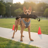 Dog Gnaw Pillow Sturdy Gnaw Pillow Tug of Battle Toy Double Stitching Pet Supply 2 Handles for Working Dogs
