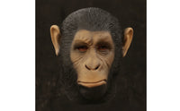 Ape Headpiece Full-Head Wearable Primate Headpiece Realistic for Adults, Cosplayers, Costume Parties, Jokes
