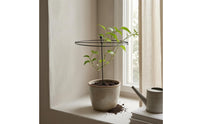 Pointed Spike Circular Hoop Plant Stake Ball Top Round Plant Support Stake Welded Hydrangea Support Hoop Dark Finish