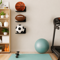 sports ball display rack