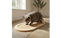 Cat Scratcher Sofa Bed Woven Beige Cat Scratcher Bed Soft Textured Pet Resting Station for Home