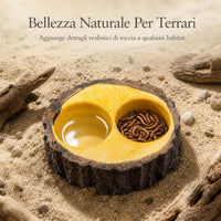 Reptile Feeding Dish Resin Decor for Terrariums Aquariums