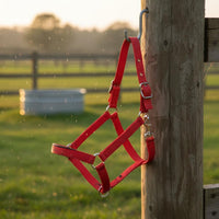 Adjustable Horse Halter Easy to Use Nylon Horse Halter Animal Tack for Riding, Training