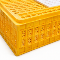 Pigeon Transport Crate 75x55x19cm Polymer Poultry Transport Cage, Heavy Duty Chicken Transport Box for Smallholder, Agricultural Show