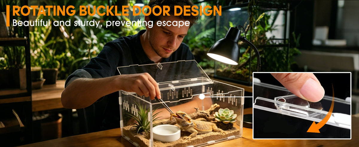 Acrylic Assembly Transparent Reptile Breeding Box for Hermit Crabs
