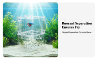 Aquatic Creature Breeding Box High Clearness Buoyant Aquatic Creature Breeder Box Removable Divider Twin-Chamber-Tier Design