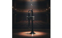 B♭ Trumpets Beginner-Friendly Trumpets with Hard Case Student Brass Instrument for Beginners, Students, Practice