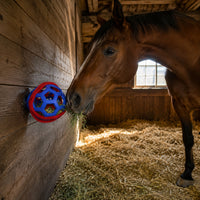 Hollow Horse Treat Ball Spherical Lattice Treat Ball for Stable