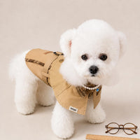 pet coat