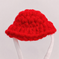 pet hat