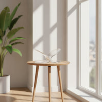 Butterfly Magazine Rack Minimalist Magazine Rack with Oval Base areaSaving Literature Display Stand for Reception Area