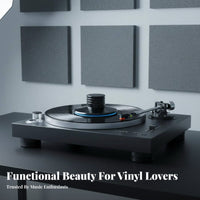 Record Weight Stabilizer Entry-Level LP Record Weight Vibration Damping LP Disc Stabilizer for Beginners