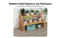 Space-Saving Miniature Tiered Plant Shelf small Size 2-Tier Display Rack Decorative Home Decor Multi-Functional for Office Workers, Homeowners, Students, sillsill, Living Room, Countertop