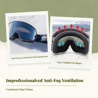 Magnetic Ski Goggles, Polarized, Anti-Fog, Adjustable, Youth