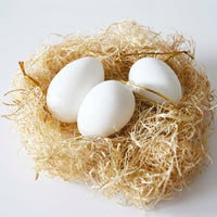 Easter Egg Birds Nest, Paintable Easter Egg Realistic Design Garden Nature Art DIY Decorative Egg Smooth Plain White Simulation Eggshell for Crafters, Adults, Art Projects, Home Decor