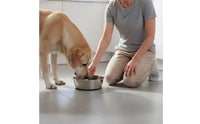 Stainless Canine Bowl Leak-Resistant Stainless Steel Pet Bowl Rustproof Non-Slip Dog Dish for Large Dogs, Pets