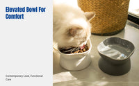 Double-Sided Tilted Pet Feeder Bowl, Neck Protection, Elevated Food Water Dish, Anti-Spill Design