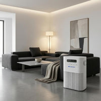 Tabletop Air Purifier White Electronic Air Purifier Home Appliance Control Buttons Side Handles