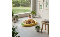 Wear Resistant Oval Cat Scratcher Bed Less Debris Oval Cat Scratcher Lounge Furniture Protection Curved Design for Multiple Cats