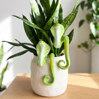 Pot Huggers with Reptilian Pattern Decorative Plant Pot Huggers Playful Hanging Basket Ornament for Interior Stylists