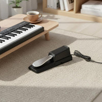 Polarity Switch Sustain Pedal Non-Slip Design Electronic Piano Pedal Classic Design Musical Instrument Accessory for Pianists, Keyboardists, Music Producers, Home Practice, Studio, Stage Performance