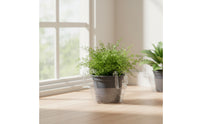 5 Pieces Clear Hanging Plant Tray with Hooks Transparent Hanging Basket Saucer with Hooks Plastic Lightweight for Gardeners, Patio, Porch
