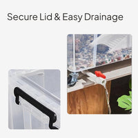 Transparent Turtle Tank with Lid and Drainage