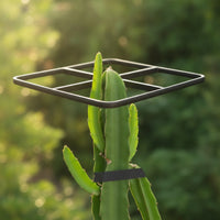 Metal Plant Trellis Tall Trellis with Grid Top Vertical for Gardeners, Flowerpot, Balcony, Greenhouse