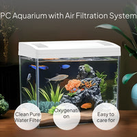 Mini Desktop Aquarium with Lid, Filtration, Oxygenation
