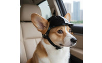 Dog Cat Helmet with Ear Hole Cute Comfortable Breathable Dogs Hat for Riding Adjustable Strap for Yorkshire Terrier Pug