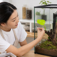 Natural-Looking Reptile Leaf Perch Wall-Mounted Leaf Basking Platform Compact Basking Platform with Suction Cup for Reptiles, Amphibians, Tree Frogs, Terrarium, Vivarium