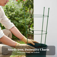 Climbing Plant Support Climbing Plant Frame Keeps Plants Tidy Flower Support Stake for Patio, Balcony, Indoor