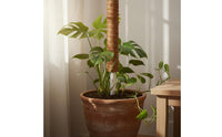 Sturdy PVC Core Coconut Fiber Pole Extendable Design Coir Pole Decay Resistant Coconut Fiber Stake Promotes Healthy Growth for Indoor, Balcony