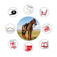 8 Pieces Includes Storage Bag 8 in 1 Equestrian Accessory Kit Multiple Colors Available Complete Horse Tack Package for Beginners