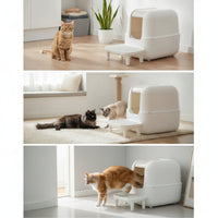 Rectangular Pedal with Slatted Grille Plastic Platform for Pet Owners