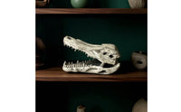 Lifelike Crocodile Skull Hide Weathered Reptile Hide Hollow Terrarium Ornament Long-Lasting for Vivarium