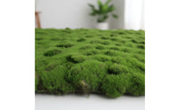 Realistic Look Artificial Lichen Mat Easy to Shape Fake Lichen Sheet Decorative Greenery Faux Grass Mat Evergreen Color for Bonsai Display