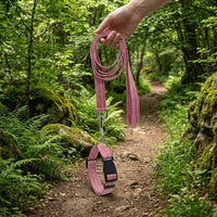 Small Dog Leash and Set for Pet Walking, Medium Dog Leash with Loop Handle, Small Cat Leash and Medium Cat Leash, Polyester Material
