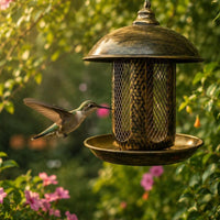 Hanging Metal Bird Feeder Hook Hanger Dome Top Bird Feeder Round Base Tray