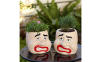 Funny Design Resin Face Planter Whimsical Face Planter Decorative Novelty Flower Pot Sturdy for Outdoor, Yard, Patio
