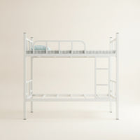 Bunk Bed with Ladder Metal Bunk Bed Space-Saving Furniture for Students, Teens, Dormitory, Bedroom, Hostel