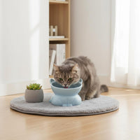 Cute Design Tilted Ceramic Pet Bowl Anti-Tip Raised Ceramic Pet Dish Whisker Friendly Raised Cat Food Dish Dishwasher Safe for Cats