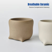 Mini Cute Flower Pot, Cartoon Ceramic Planter, Smile Face, Breathable Clay, Tray, Home Garden