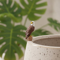 Bald Eagle Figurine Micro Bald Eagle Ornament Realistic Small for Hobbyists, Fairy Garden, Desk Decor
