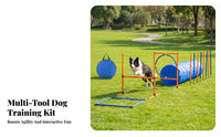 Blue and Orange Dog Agility Training Kit Cylindrical Frame Dog Agility Kit Lightweight Pet Sports Collapsible
