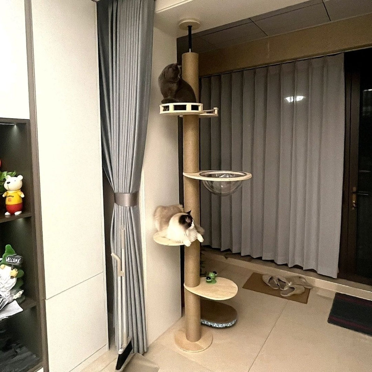 Floor-to-Ceiling Cat Tree with Space Capsule, Hardwood